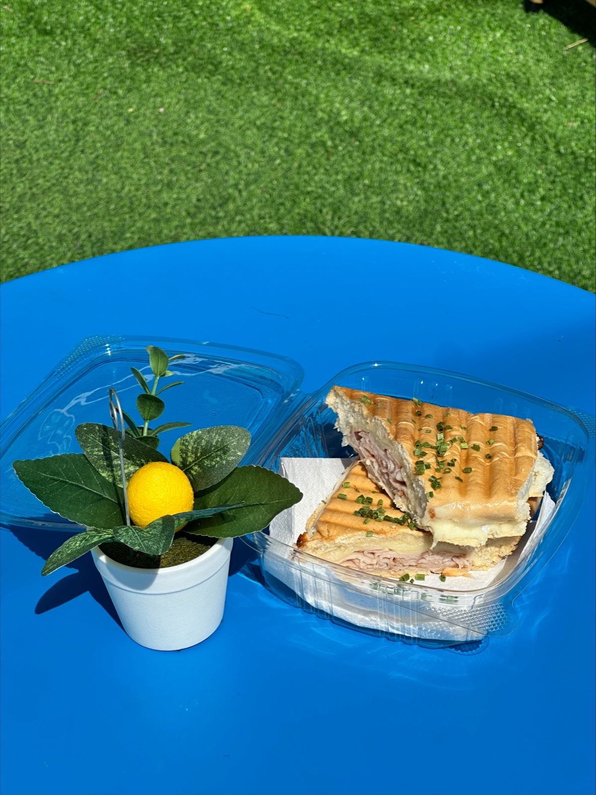 A pressed panini in a to go box on a bright blue bistro table